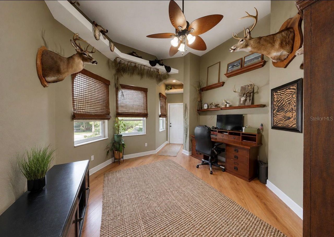 4817 Seth Lane, Plant City, FL 33565 Photo
