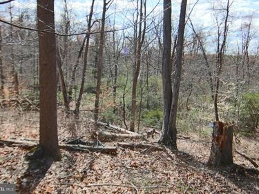 0 S FORGE ROAD , PALMYRA, PA 17078
