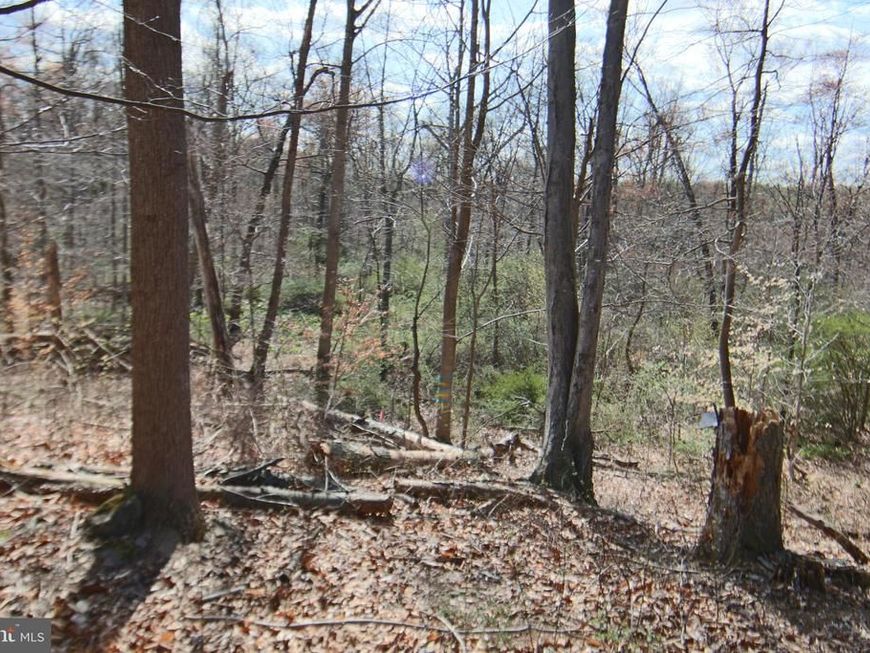 0 S Forge Road , Palmyra, PA 17078 Main Photo