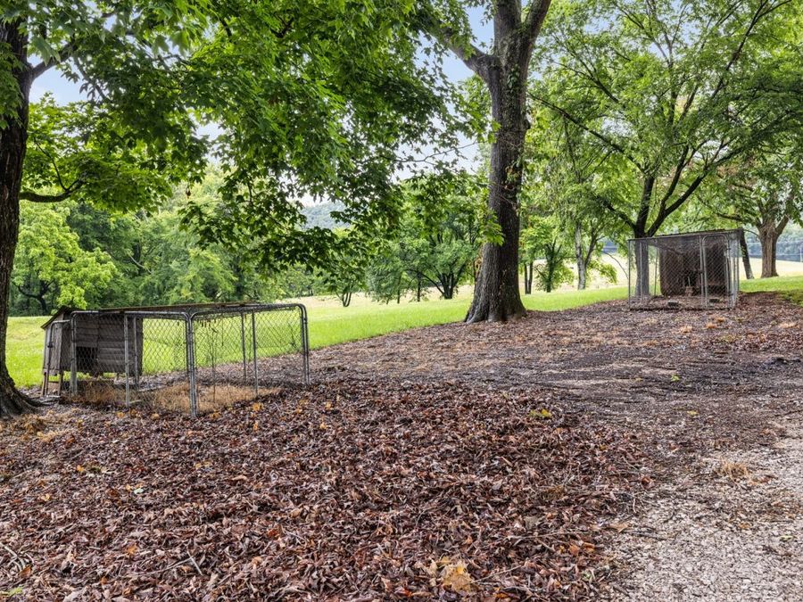 Property Image 63