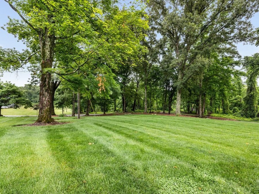 Property Image 67
