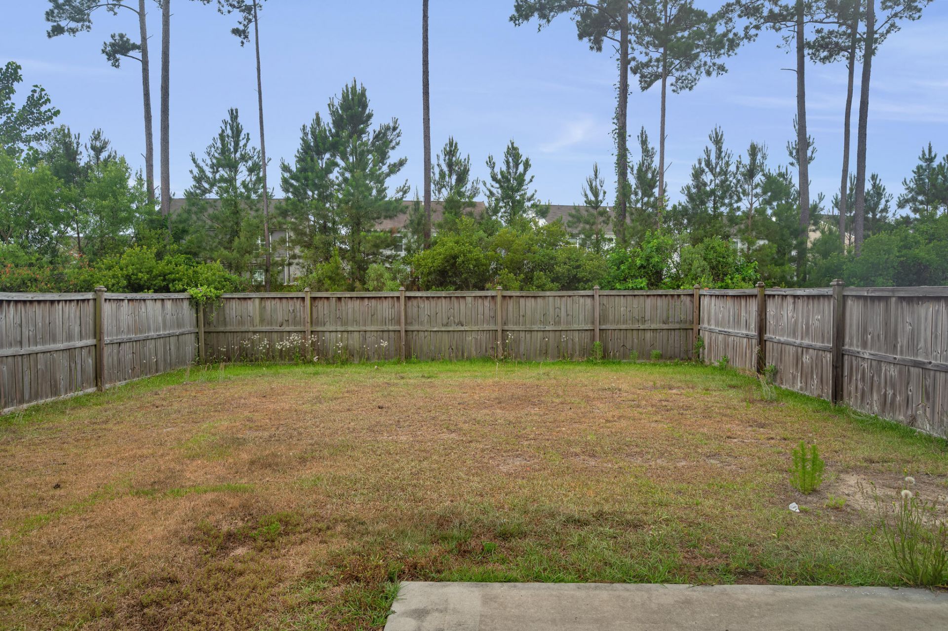 664 Redbud Lane Photo 22