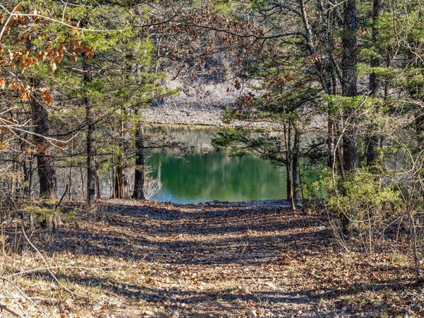 2416 Bread Tray Mountain Road , Lampe, MO 65681