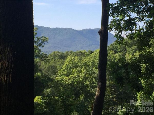 20 Lagrange Drive , Asheville, NC 28805