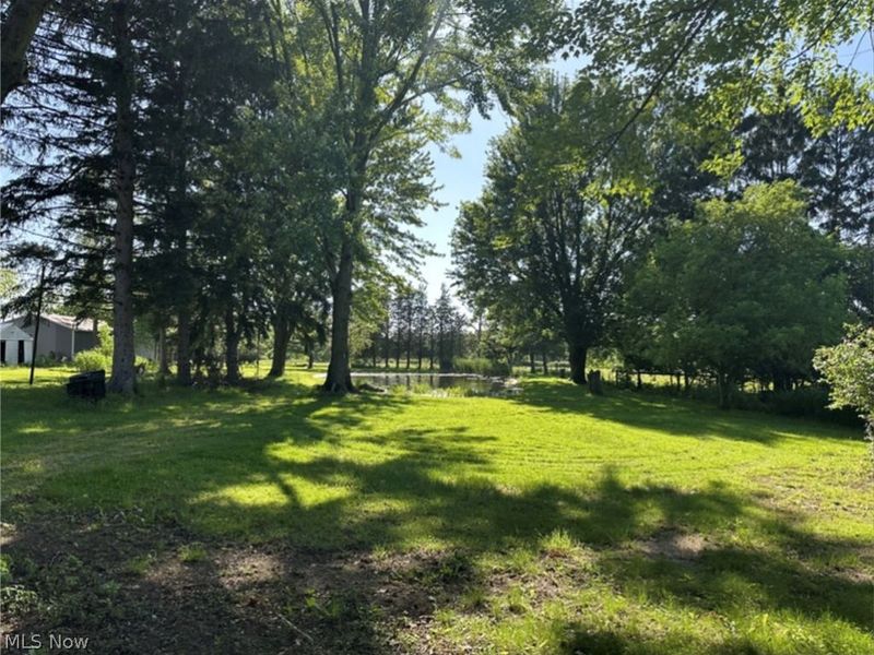 10970 Durkee Road, Grafton, OH 44044 Photo 8