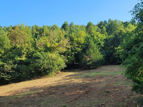 48 Hannah Br Rd , Petersburg, TN 37144