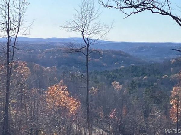 229 Madison CR 410, Fredericktown, MO 63645