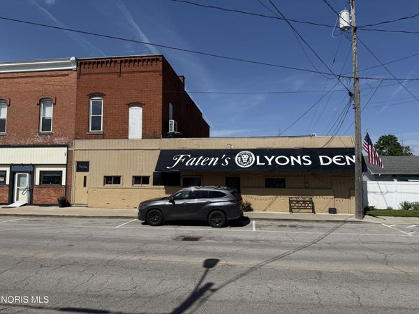 113 & 117 N Adrian Street , Lyons, OH 43533
