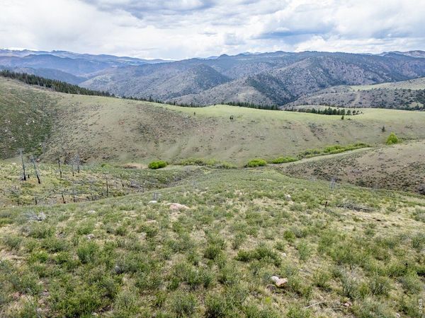 208 Little Bald Mountain Ct, Livermore, CO 80536