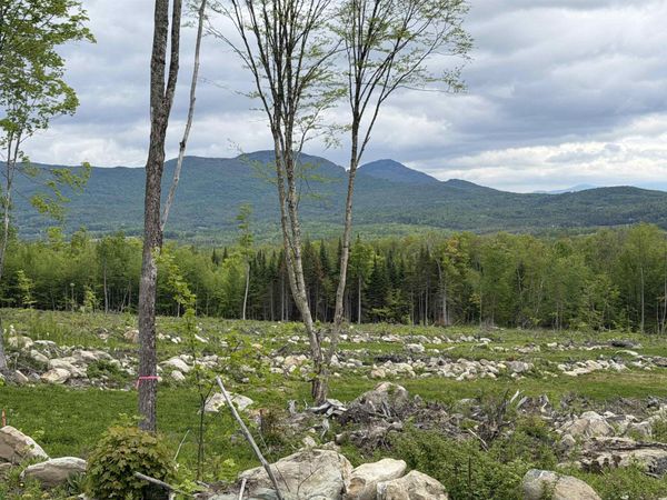 00 Gibbs Road, Unit Lot #2, Newport Town, VT 05857