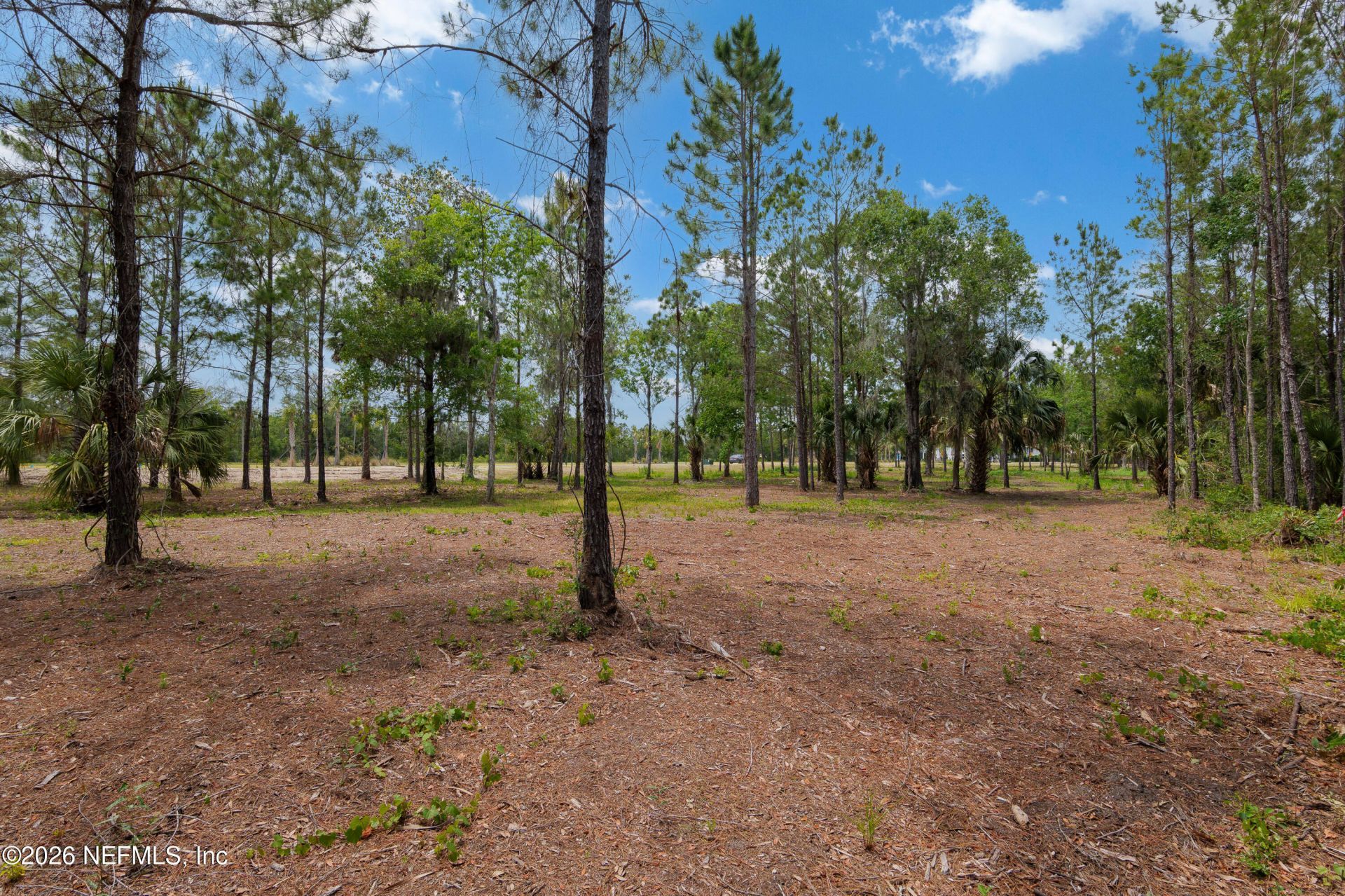 874 S Harbor Lights Drive, Ponte Vedra, FL 32081 Photo