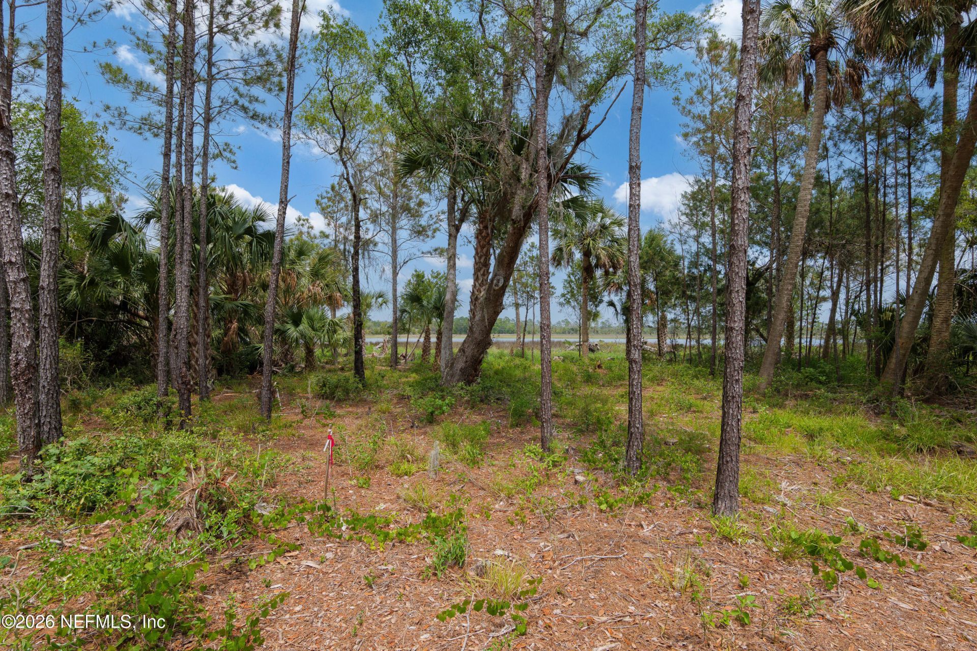 874 S Harbor Lights Drive, Ponte Vedra, FL 32081 Photo