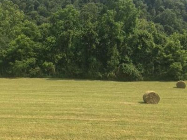 00 Hatfield Road, Tazewell, TN 37879