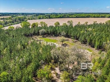 22544 Lechner Road, Robertsdale, AL 36567