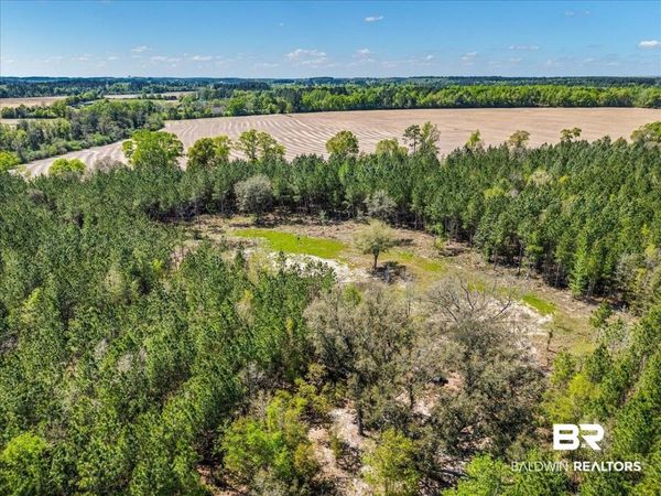 22544 Lechner Road, Robertsdale, AL 36567