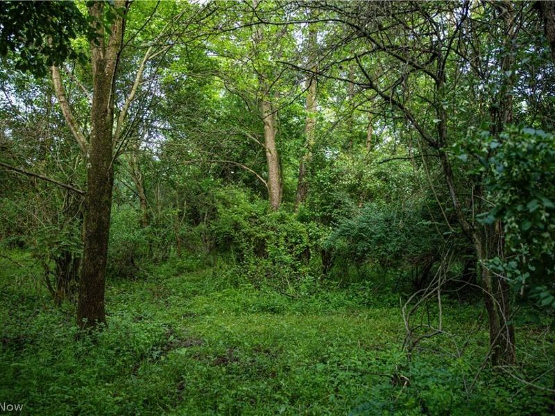 13400 Gilchrist Road, Mount Vernon, OH 43050 Photo 26