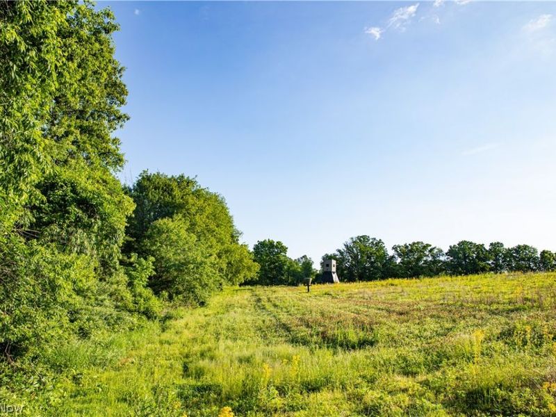 13400 Gilchrist Road, Mount Vernon, OH 43050 Photo 35