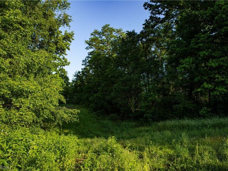 13400 Gilchrist Road, Mount Vernon, OH 43050 Photo 39