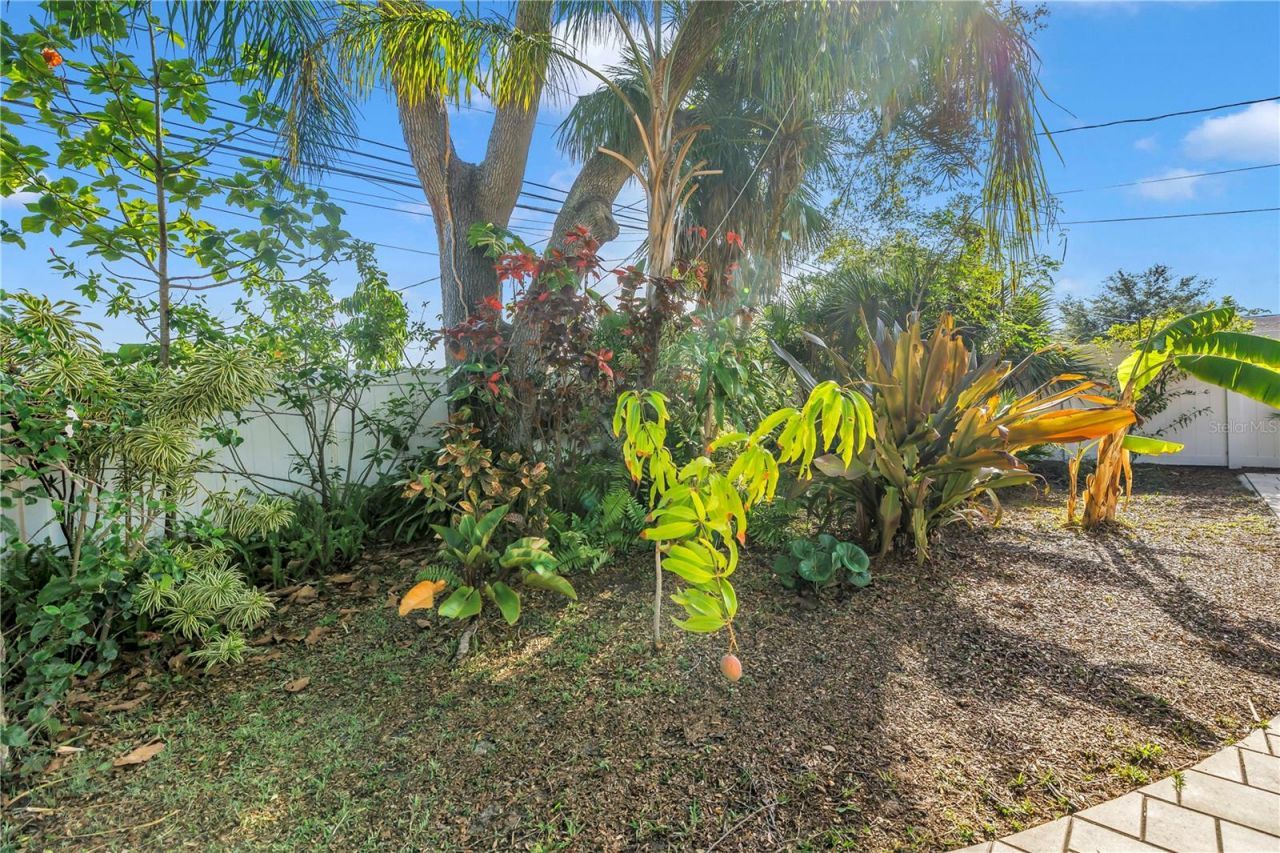 263 42nd Avenue Ne, Saint Petersburg, FL 33703 Photo