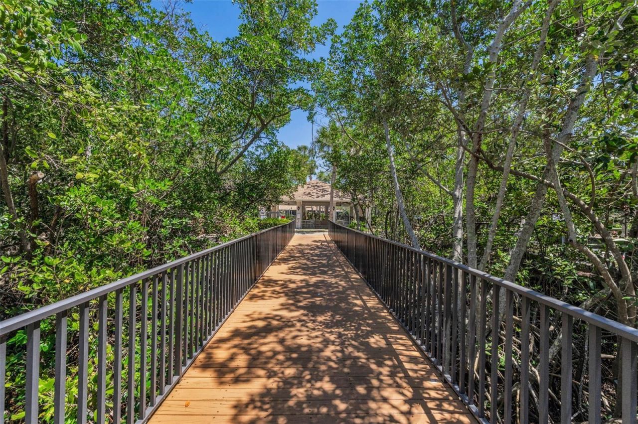 932 Myakka Court Ne, Saint Petersburg, FL 33702 Photo
