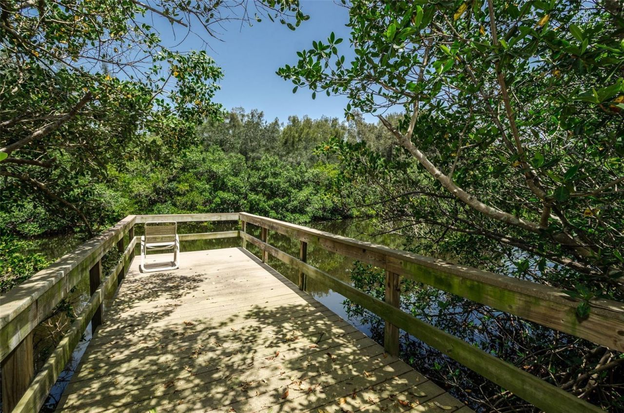 932 Myakka Court Ne, Saint Petersburg, FL 33702 Photo