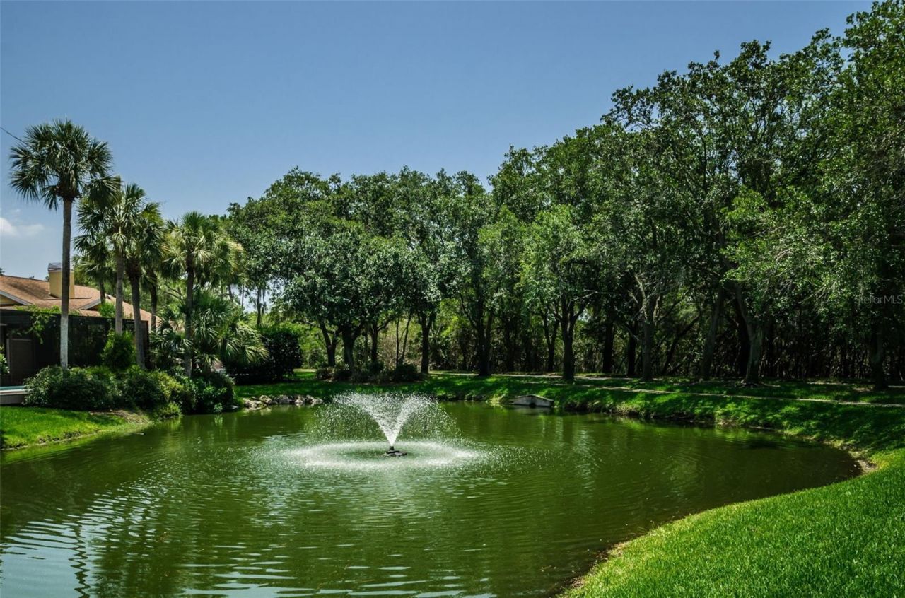 932 Myakka Court Ne, Saint Petersburg, FL 33702 Photo
