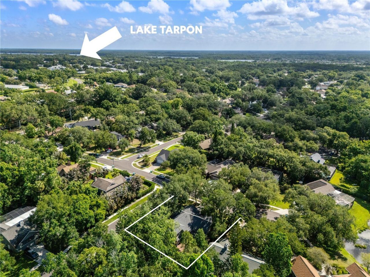 344 Cascade Lane, Palm Harbor, FL 34684 Photo