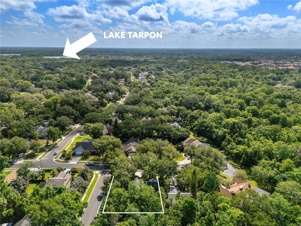 344 Cascade Lane, Palm Harbor, FL 34684 Photo