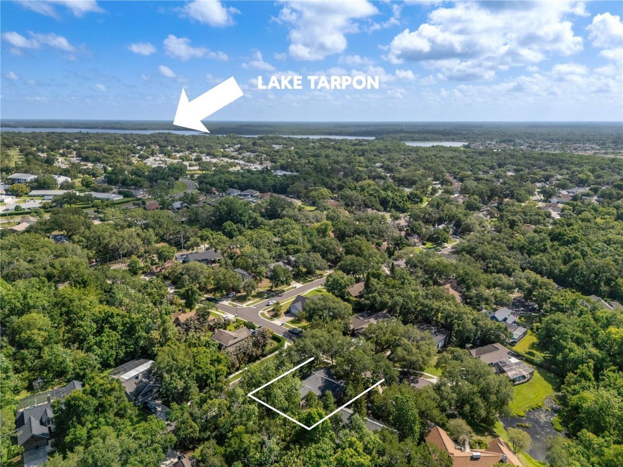 344 Cascade Lane, Palm Harbor, FL 34684 Photo