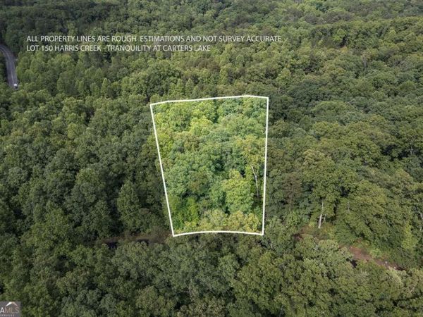 LOT 150 Tranquility @ Carters Lake, Ellijay, GA 30540