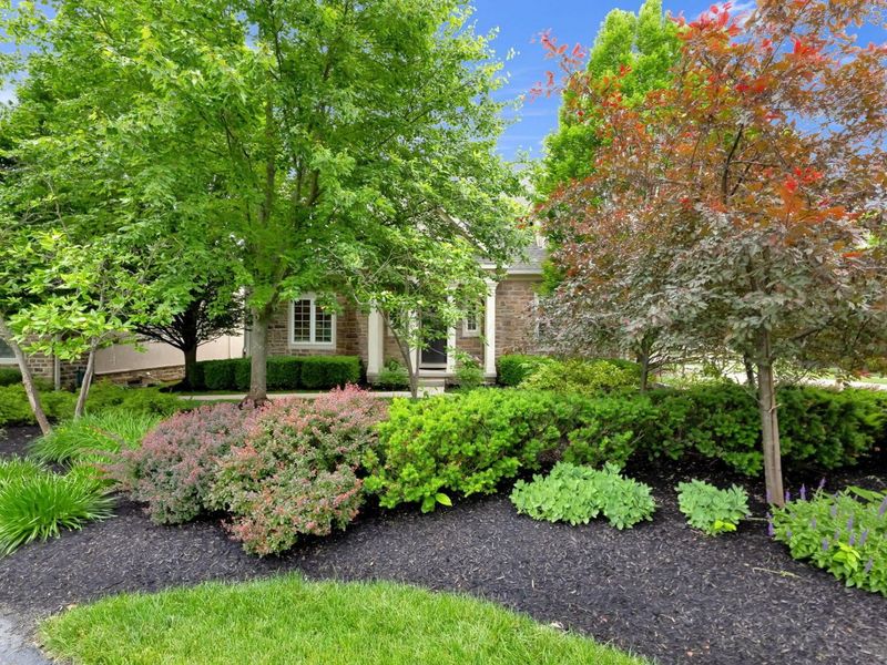 9098 Mediterra Place, Dublin, OH 43016 Photo 2