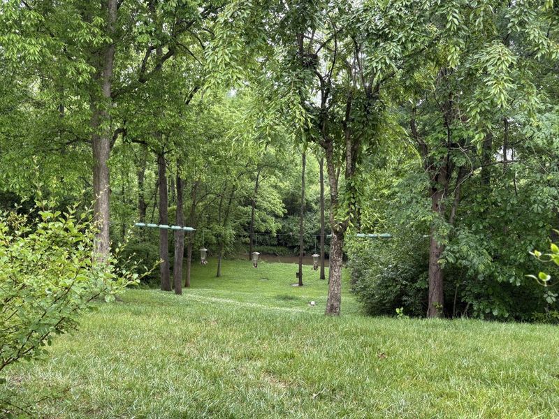 75 Wellington Drive, Florence, KY 41042 Photo 15