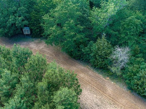 600 Anderson County Road 2805, Tennessee Colony, TX 75861