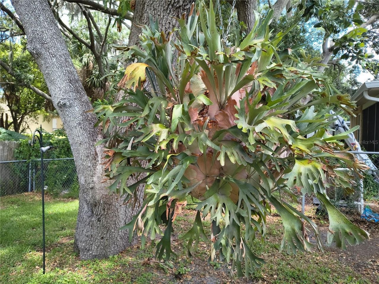6627 Parkside Drive, New Port Richey, FL 34653 Photo