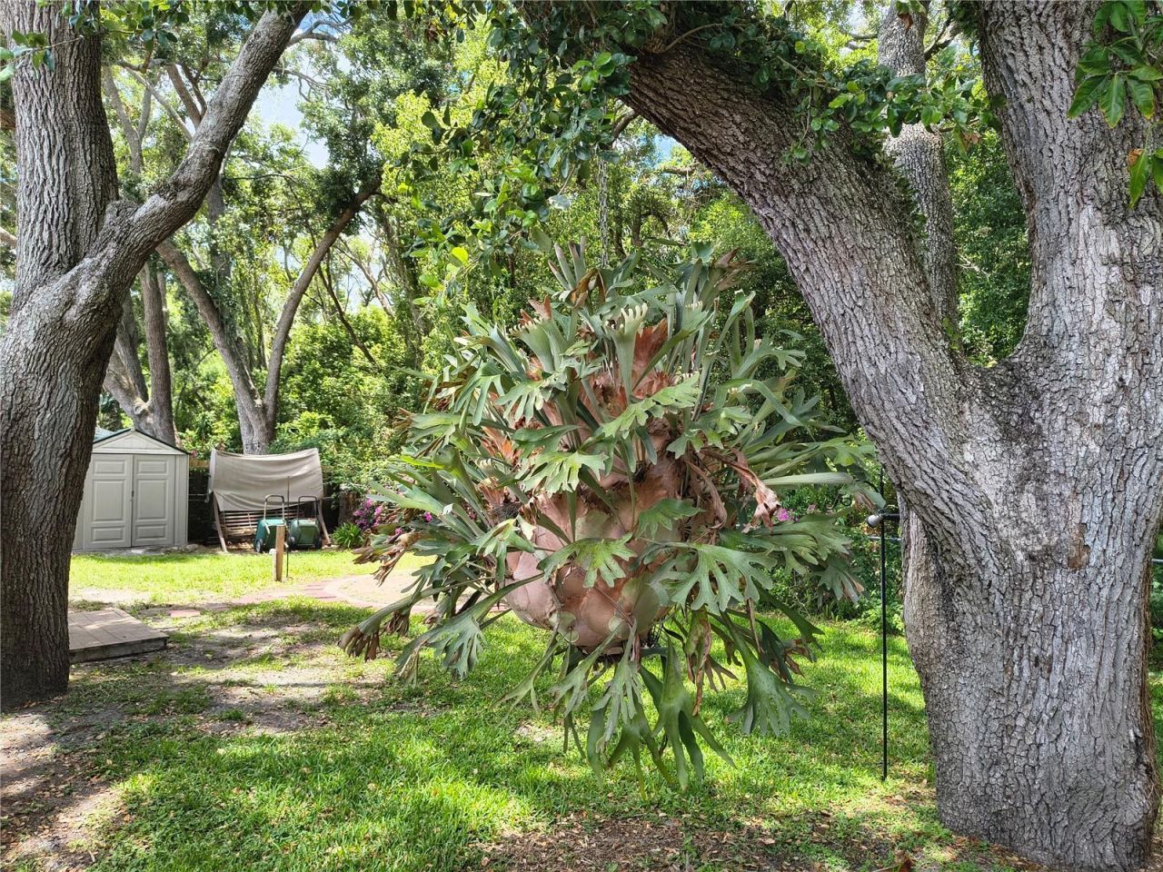 6627 Parkside Drive, New Port Richey, FL 34653 Photo