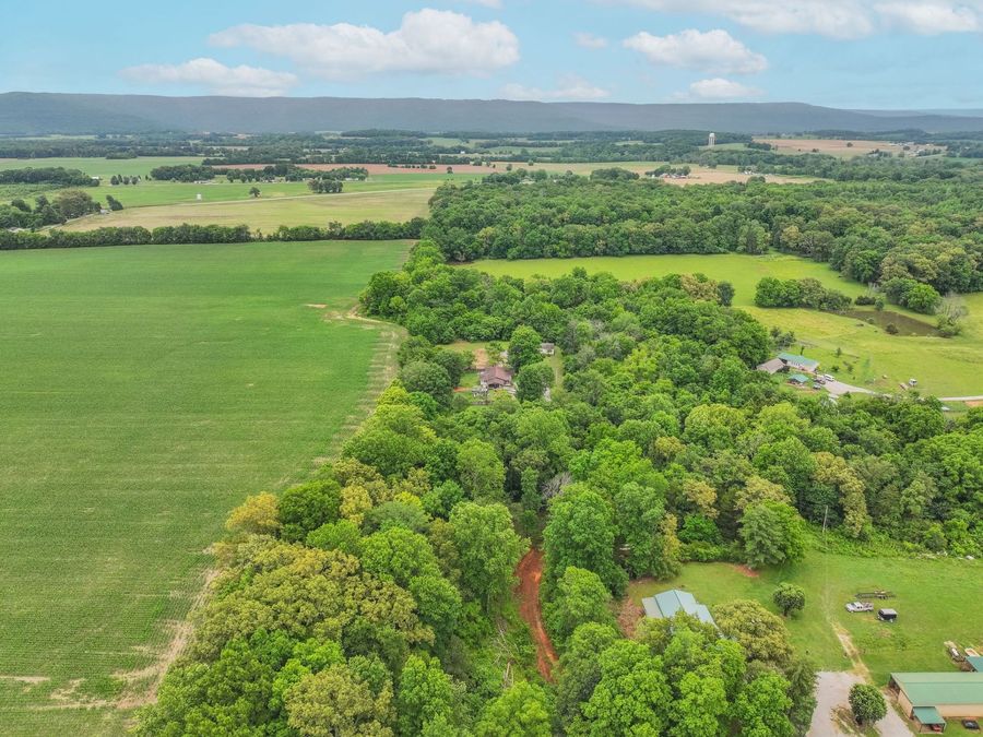 Property Image 38