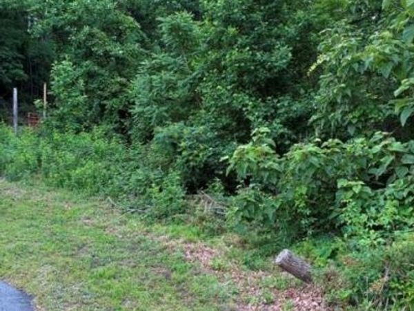 97 DEVIN RIDGE Lane , Union Mills, NC 28167