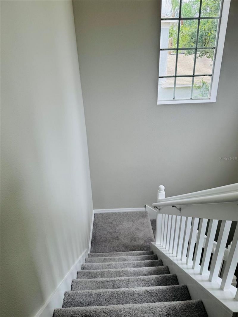 3517 Trapnell Ridge Drive, Plant City, FL 33567 Photo