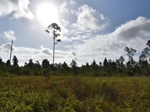 22370 NE 130TH AVENUE , FORT MC COY, FL 32134