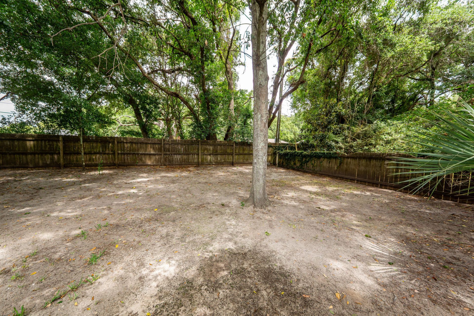 615 Majestic Oak Drive Photo 45