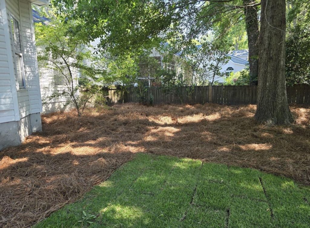 615 Majestic Oak Drive Photo 45