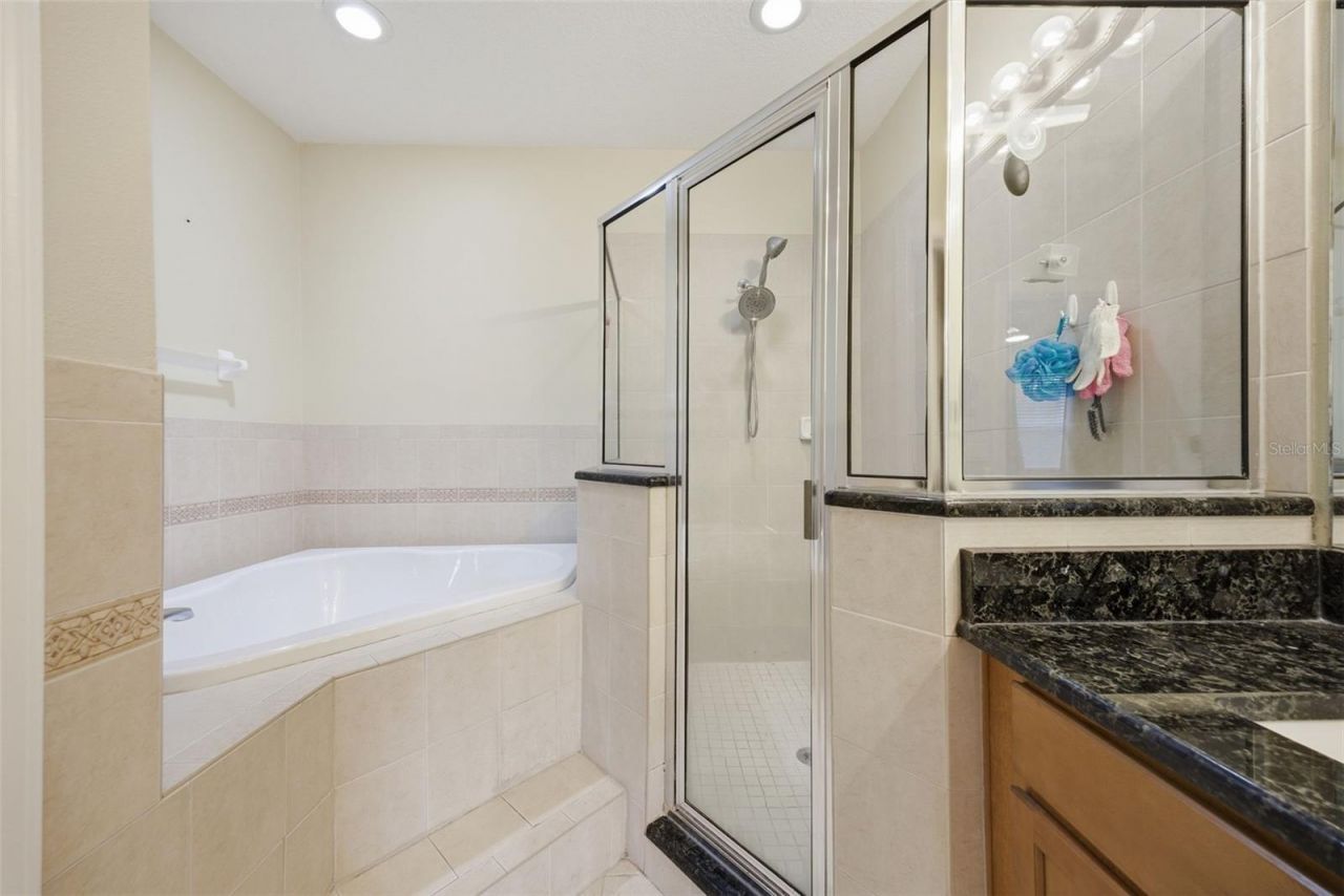 4532 Amberly Oaks Court, Tampa, FL 33614 Photo