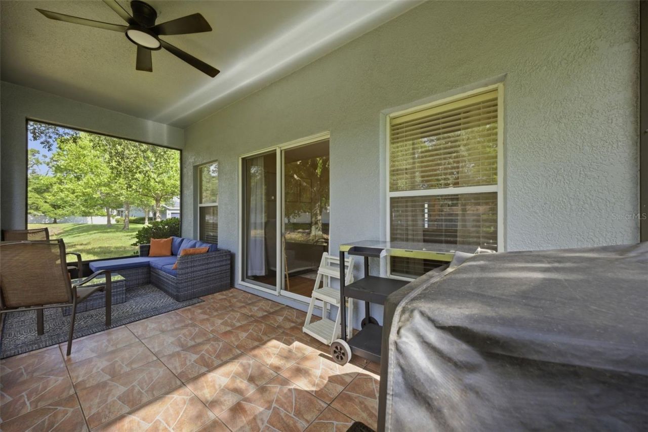 4532 Amberly Oaks Court, Tampa, FL 33614 Photo