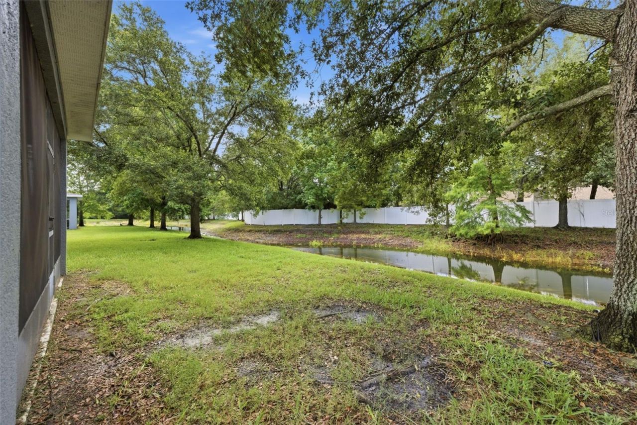 4532 Amberly Oaks Court, Tampa, FL 33614 Photo