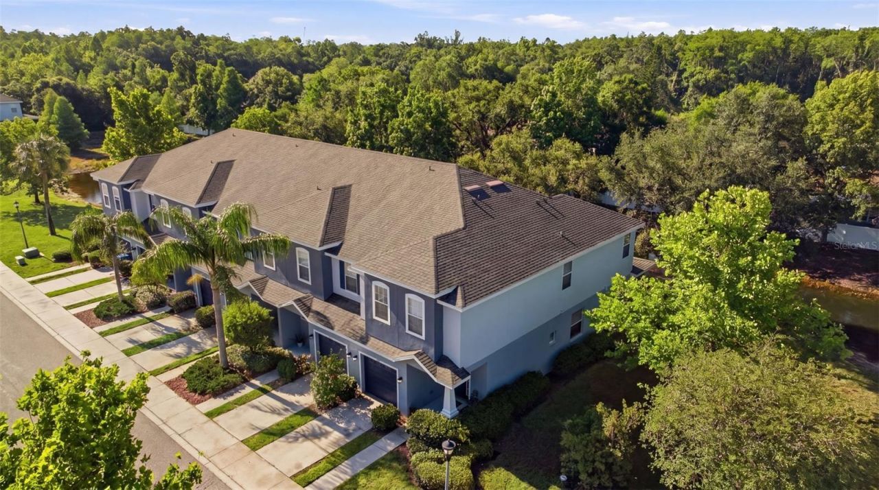 4532 Amberly Oaks Court, Tampa, FL 33614 Photo