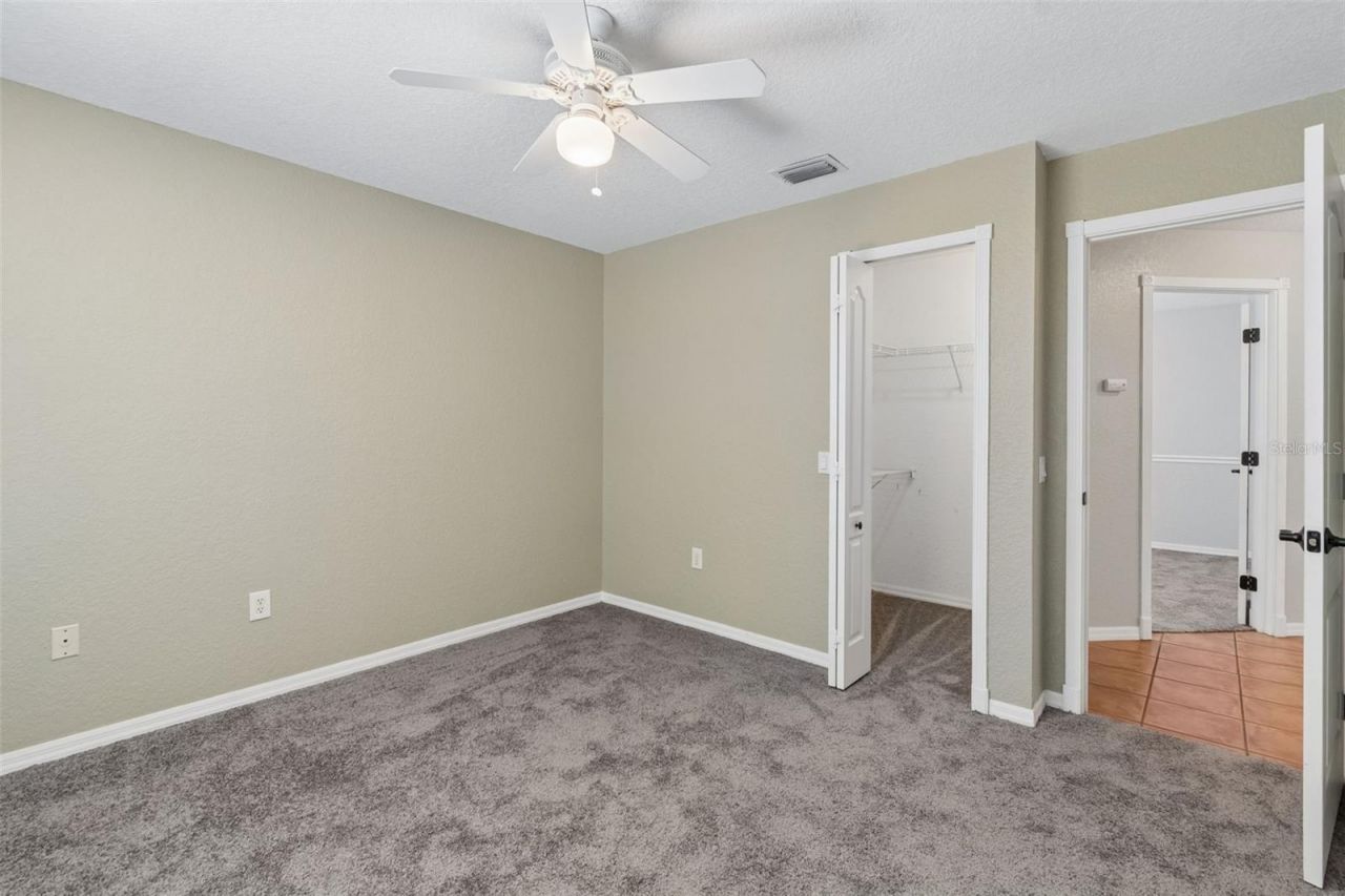 8604 Brookway Circle, Tampa, FL 33635 Photo