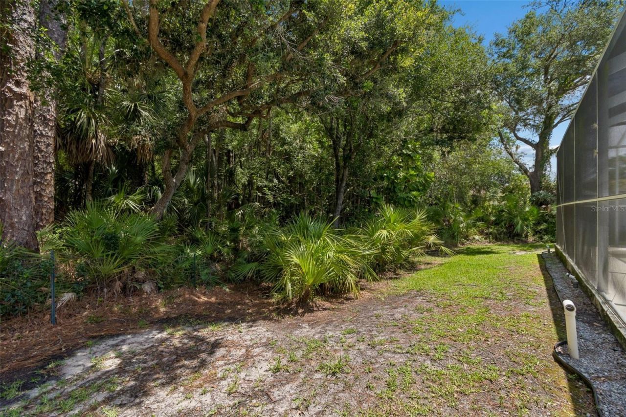 8604 Brookway Circle, Tampa, FL 33635 Photo