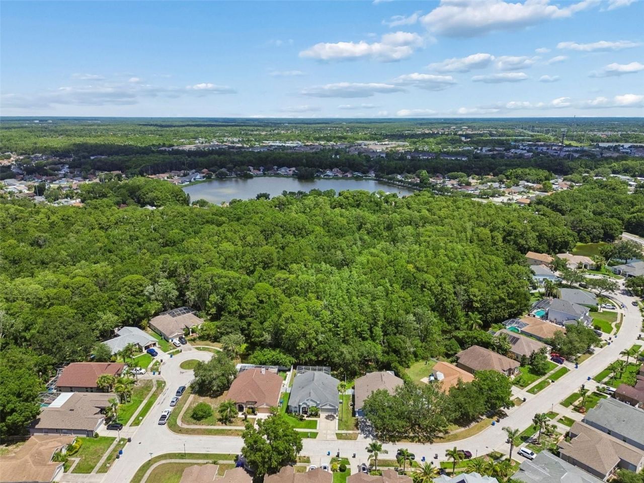 8604 Brookway Circle, Tampa, FL 33635 Photo