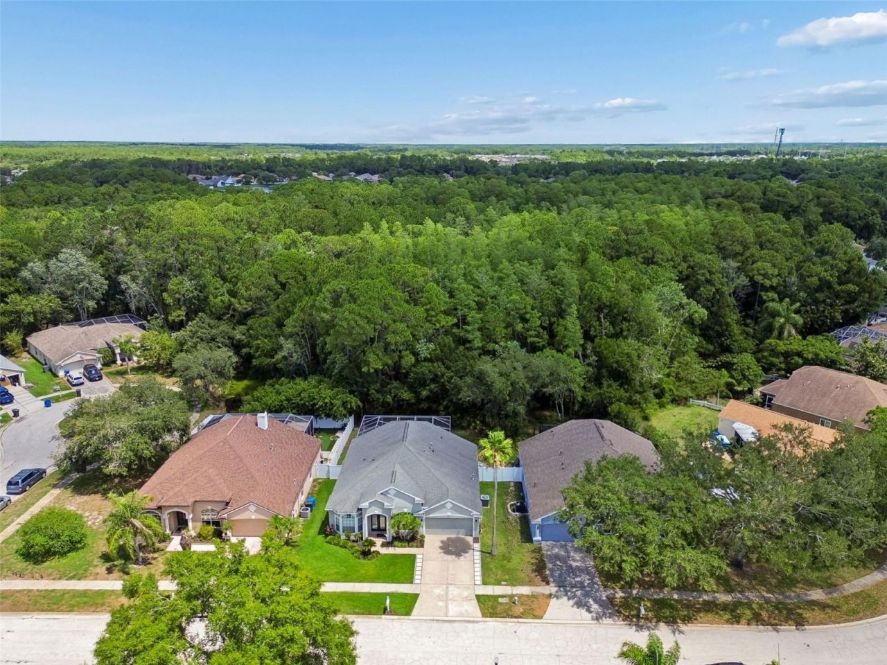8604 Brookway Circle, Tampa, FL 33635 Photo