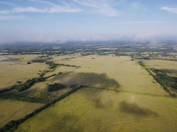 000 FM 905, Paris, TX 75462